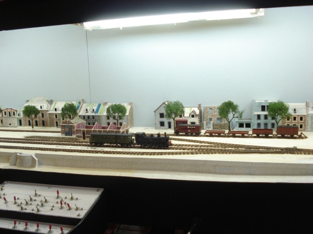 Acacias 02