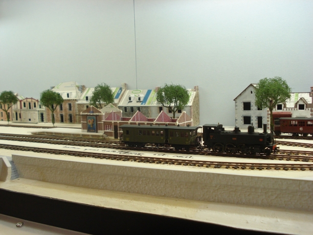 Acacias 04