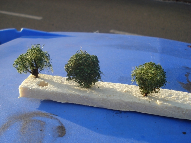 buisson2