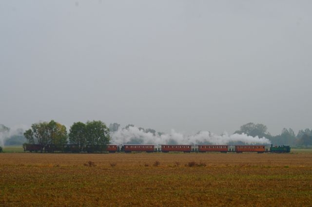 04 CFBS 19.10.13 Rame Somme Bois Verni Homogène