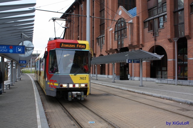 IMG 3408 1