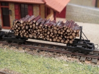 IMG 4520