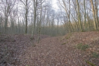 IMG 4314w