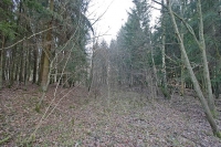 IMG 4319rw
