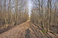 IMG 4378rw