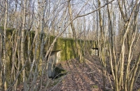 IMG 4384-2w