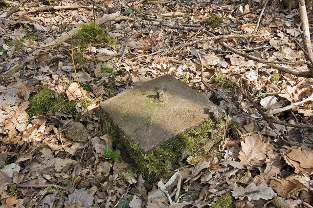 borne
