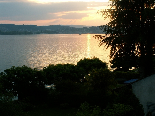 Lucerne