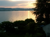Lucerne