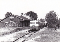 BA Pierrefitte sur Sauldre Autorail Verney Voyage FACS 17.10.1971 Photo Bazin
