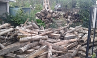 Bois Septembre 2015