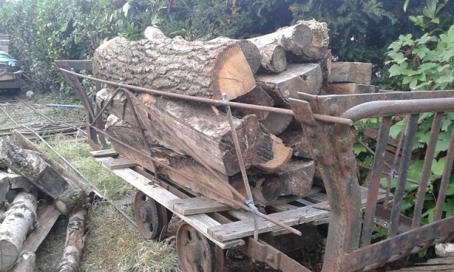 Bois Septembre 2015