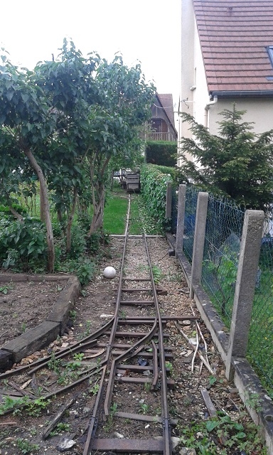 L'herbe pousse