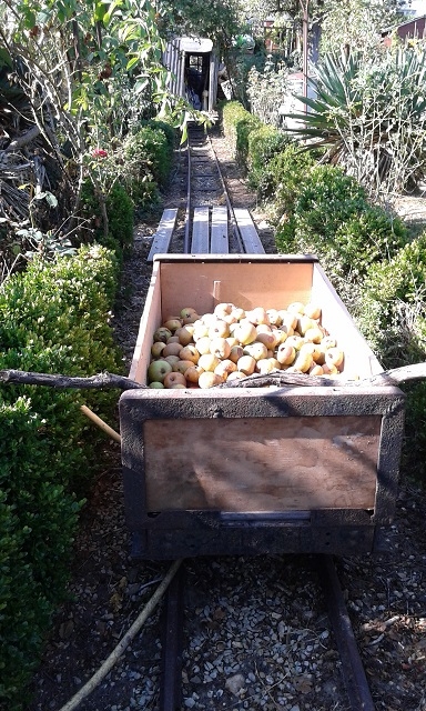 Pommes