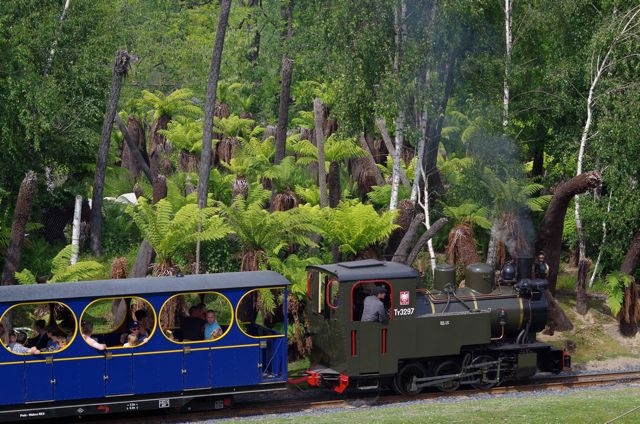 17 Océanie Train Pairi Daiza 14.06.15