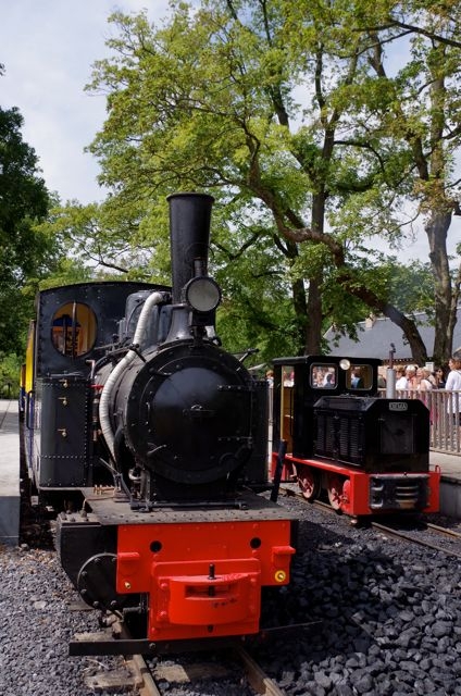 3 Pairi Daiza 030T Henchel n°15862 (1917)