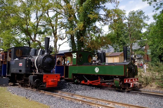 5 Pairi Daiza 030T Henchel n°15862 (1917)