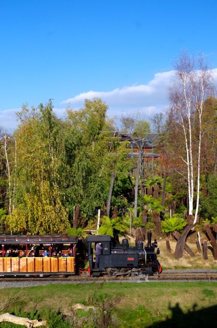 09 Pairi Daiza 03.11.17 Coucou Locotram