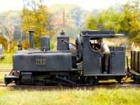 Vis en Artois Baldwin JM 1