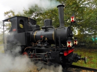 Dimanche 29-10-17 Train de fin de saison 14