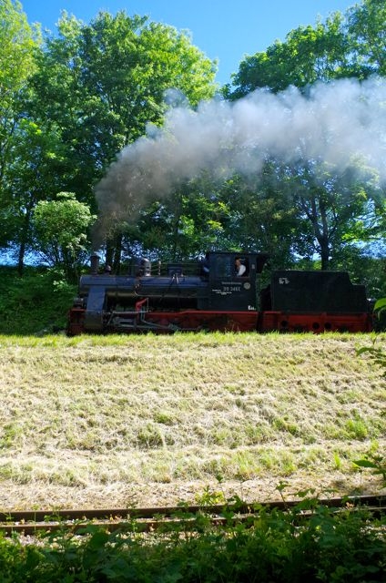 04 Vulcan + Régulier APPEVA 50 ANS 13.06.2021 Dans le Z