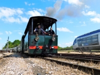 05 CFBS 19.06.15-16 Tubize HL 303 ASVI Portrait de Locomotive