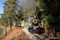IMG 7094