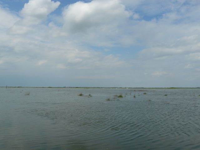 03 La baie Vers Le Crotoy Marée Haute