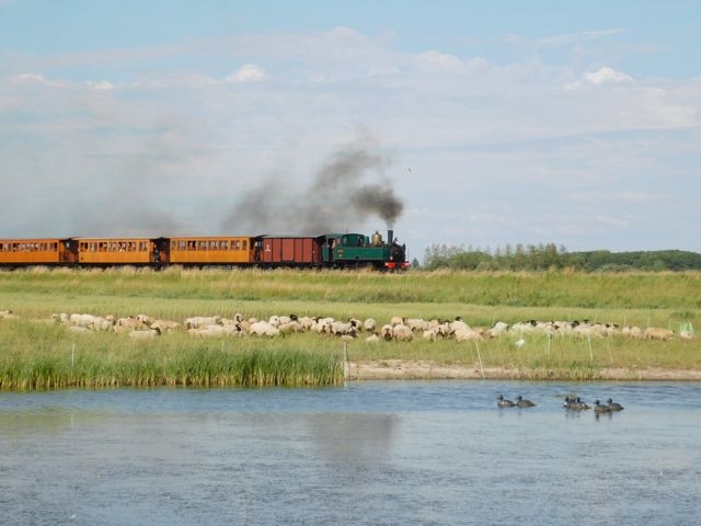 18 CFBS 03.07.22 Trains dans le Paysage Baie Mare Moutons Haine Saint Pierrre