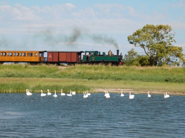 19 CFBS 03.07.22 Trains dans le Paysage Baie Mare Cygne Haine Saint Pierrre