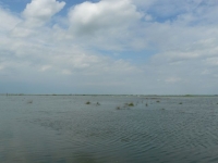 03 La baie Vers Le Crotoy Marée Haute