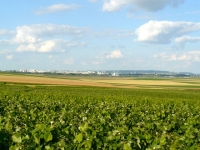 08 Panorama vers Reims