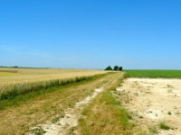 18 Juvigny Plateforme ancienne gare