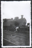 VFIL Aire-Berck Montreuil-sur-Mer (03) 150T n°51 Wintenthur 42 T Train Bettraves Nov 1954 Photo Coll Pérève (ratirage Verticale)