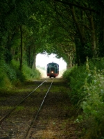 10 Tunnel de Verdure Locotracteur 351