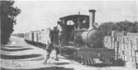 Lawley 4 4 0 locomotive at the Zebedeila Citrus Estates North Transvaal in October 1941 N Fields (FLICKR)