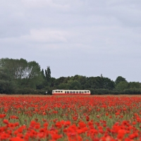 03 CFBS Verney Champêtre Coquelicots