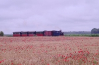 1 CFBS 13.07.14 Pinguely Train Saint Valery Cayeux Locotram Benji Jeremy