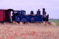 3 CFBS 13.07.14 Pinguely Train Saint Valery Cayeux Locotram Benji Jeremy