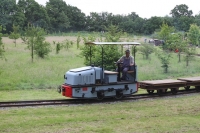 Richmond Light Railway, 23.06.2016