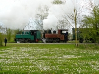 CFBS Fête de la Vapeur 27.04.2013 Double traction 020T Corpet