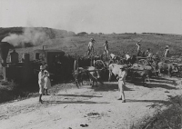 Guadeloupe 030T Corpet 11t Cheminée Pare-Escabille Sainte Anne Train Sucrier 1946