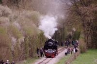 17 CFBS Fete Vapeur 15.04.16 Parade Mont-Blanc 131T Krupp n°99-600 (HSB)