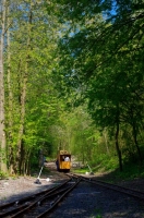 APPEVA 100 Ans Tramway Forêt 04.0516