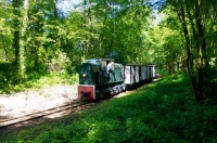 17 Coferna T24 + Couverts Pershing Train de la Sucrerie APPEVA 50 ANS 13.06.2021