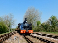 4 CFBS 08.04.16 Noyelles Arrivée Train de Saint Valery 030T Pinguely