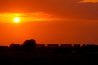 17 CFBS 19.27.26 Train Diner à Bord Couché de Soleil