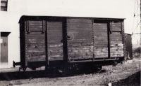 Tramways de la Vendée (ou CFD ? CF Inscriptions) Les Sables Wagons Couvert ex-Tramway de Fromentine Aout 1949 Photo Artur Coll Pérève 01