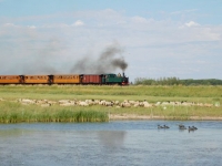 18 CFBS 03.07.22 Trains dans le Paysage Baie Mare Moutons Haine Saint Pierrre