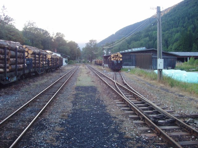 Les wagons grumiers coté Waidhofen de la gare de Großhollenstein